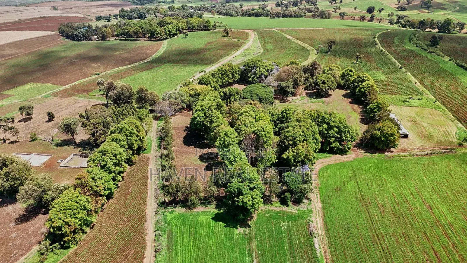 *2,000 Acres Investment Farms for Sale in Ol Molog, West Kilimanjaro*