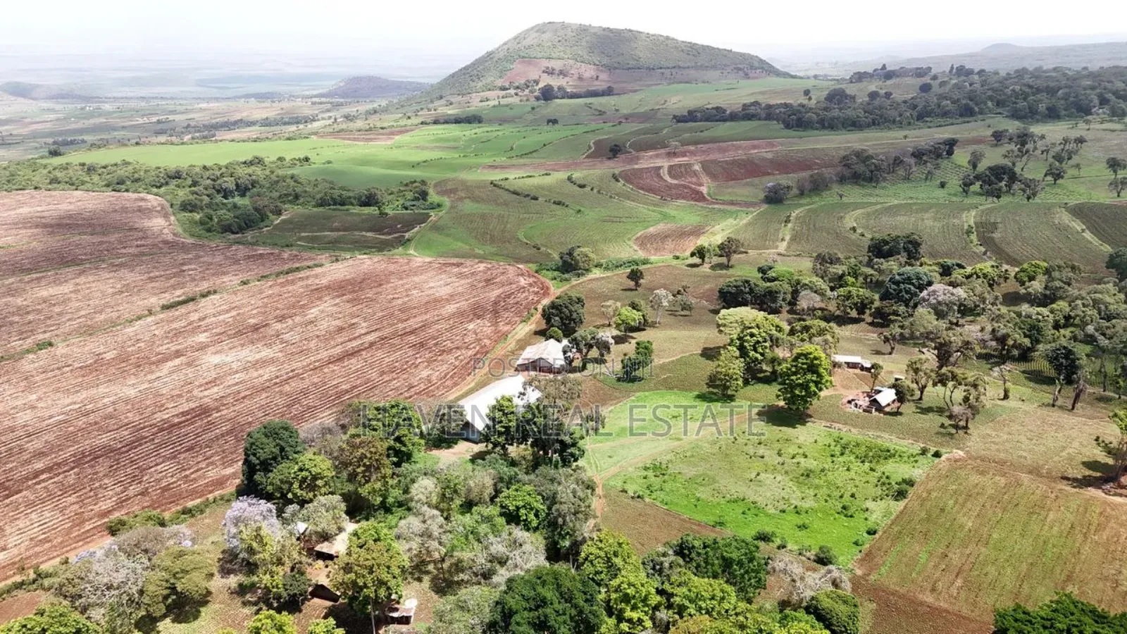 *2,000 Acres Investment Farms for Sale in Ol Molog, West Kilimanjaro*