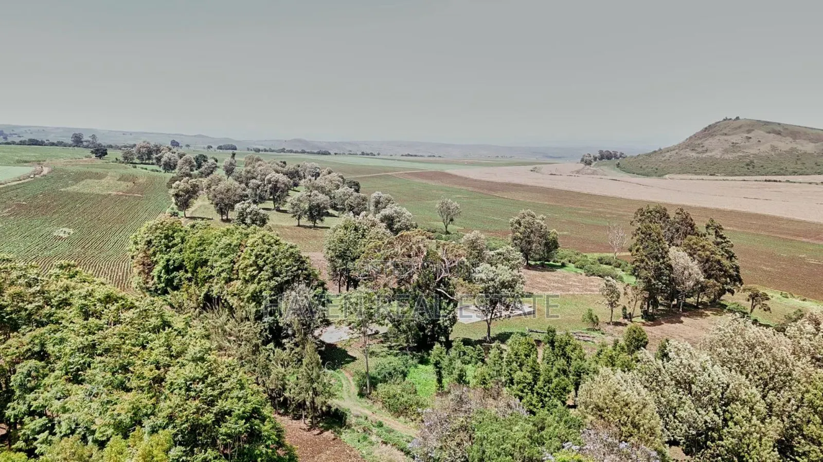 *2,000 Acres Investment Farms for Sale in Ol Molog, West Kilimanjaro*