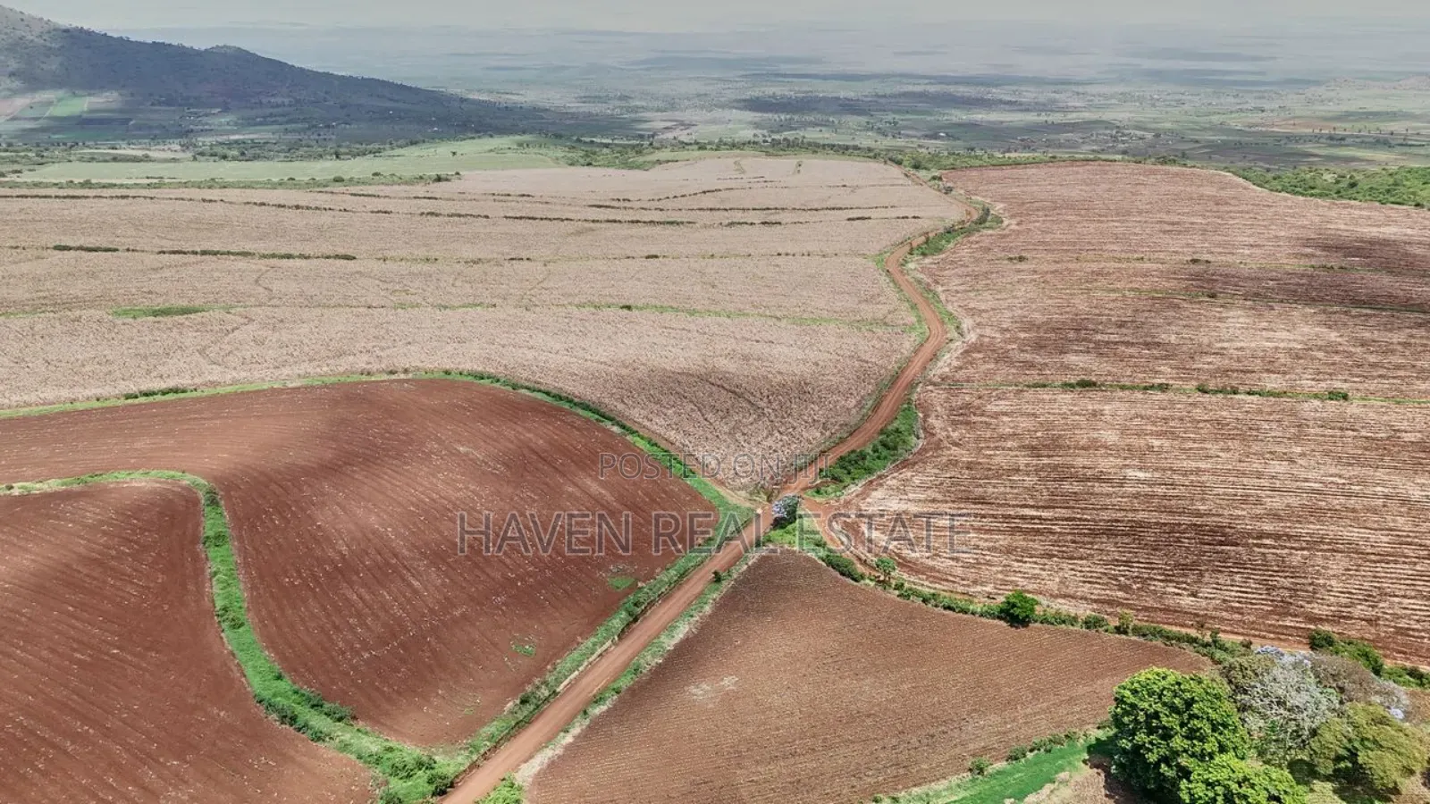 *2,000 Acres Investment Farms for Sale in Ol Molog, West Kilimanjaro*