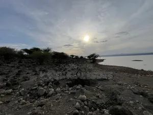 * Ekari 35 View Ziwa Manyara Linauzwa Oremiti, Losirwa-Mto Wa Mbu*