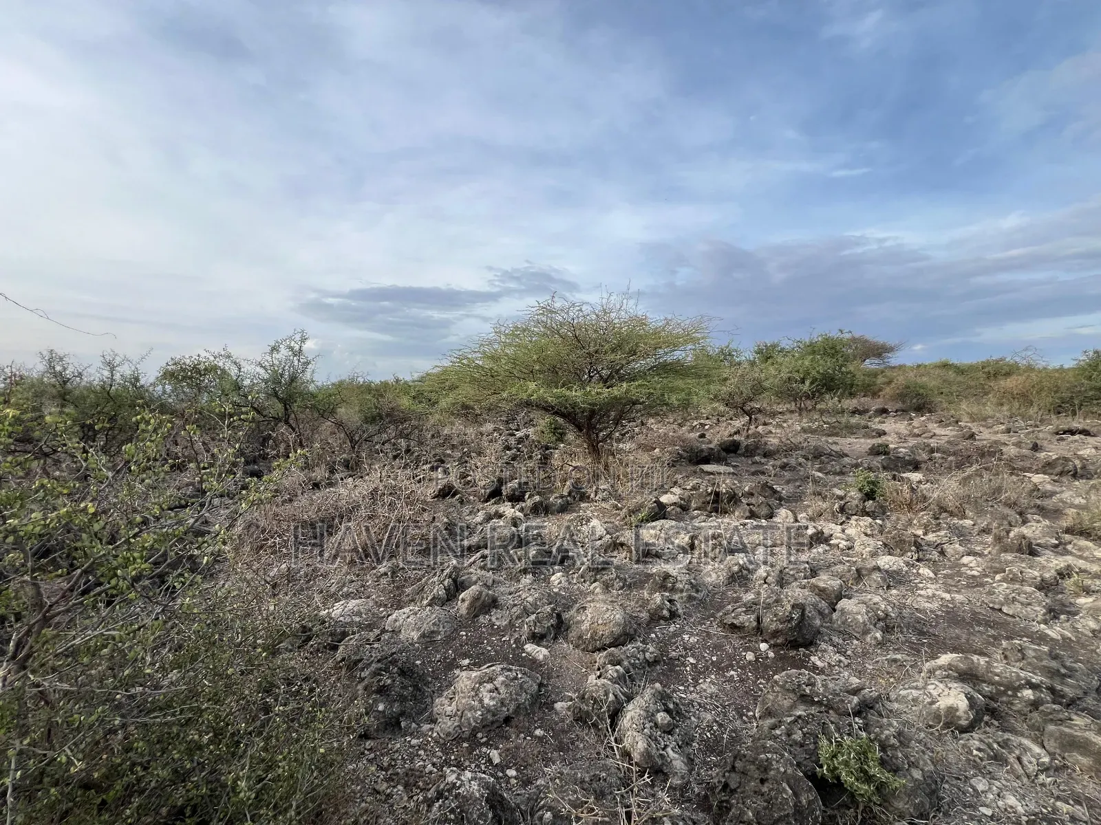 * Ekari 35 View Ziwa Manyara Linauzwa Oremiti, Losirwa-Mto Wa Mbu*