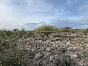 * Ekari 35 View Ziwa Manyara Linauzwa Oremiti, Losirwa-Mto Wa Mbu*
