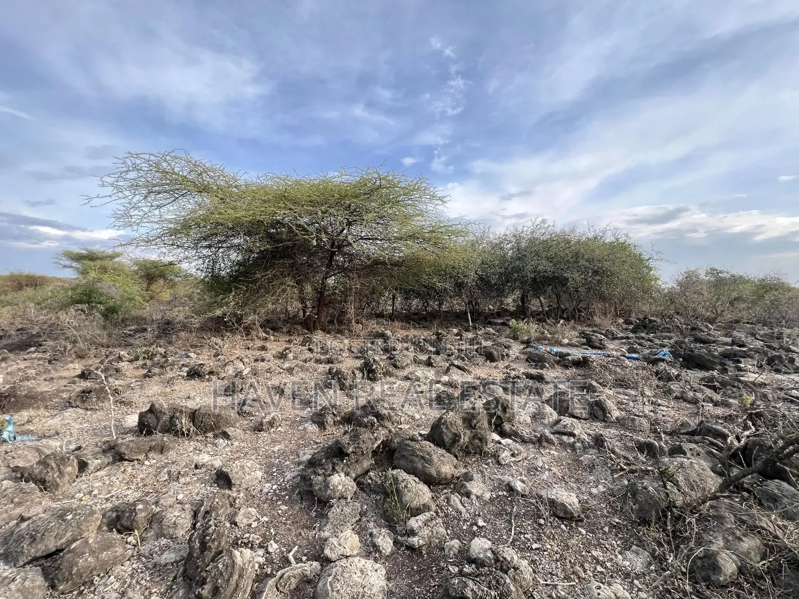 * Ekari 35 View Ziwa Manyara Linauzwa Oremiti, Losirwa-Mto Wa Mbu*