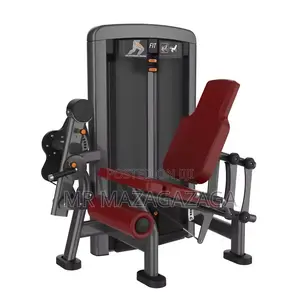 Seated Leg Extension Trainer Professional