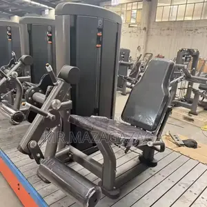 Seated Leg Extension Trainer Professional