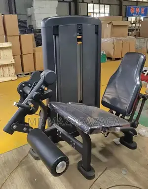 Seated Leg Extension Trainer Professional