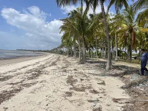 Beach Plort Inauzwa Tanga Eka 5