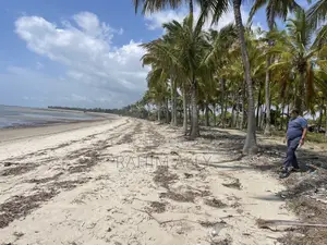 Beach Plort Inauzwa Tanga Eka 5