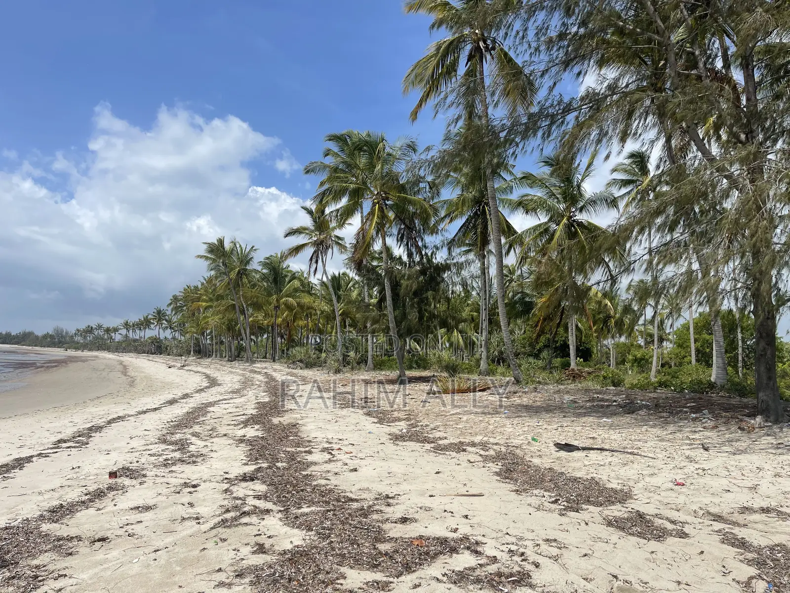Beach Plort Inauzwa Tanga Eka 5