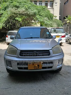 Toyota RAV4 2004 Silver