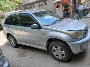 Toyota RAV4 2004 Silver