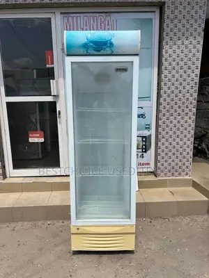 Boss Display Fridge Lita 380 Inapoza Sna