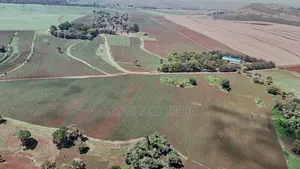 Shamba Kubwa Linauzwa Lindi