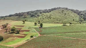 Shamba Kubwa Linauzwa Lindi