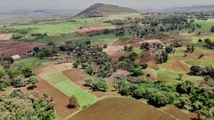Shamba Kubwa Linauzwa Lindi