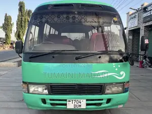 Toyota Coaster 2000 Green