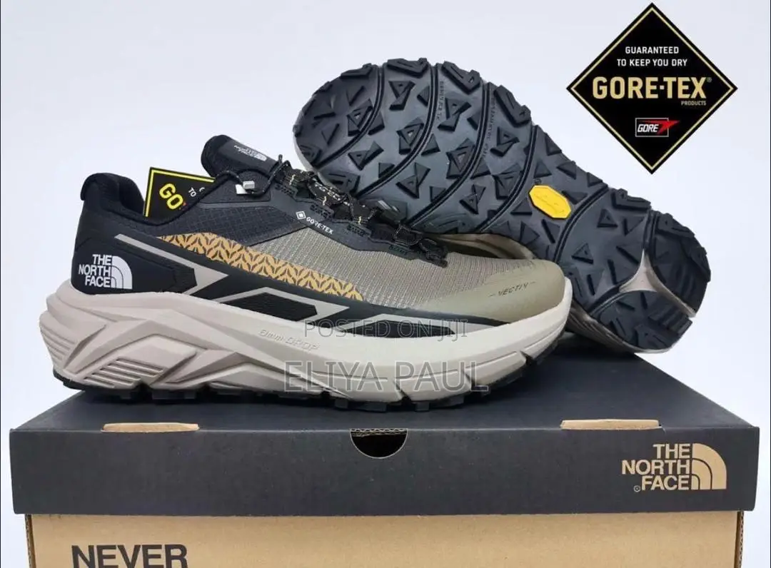 Northface Sneakers