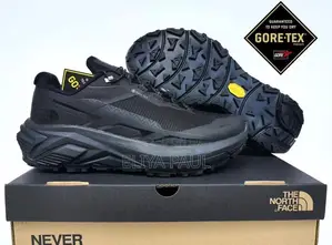 Northface Sneakers