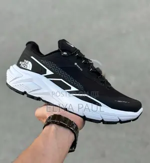 Northface Sneakers