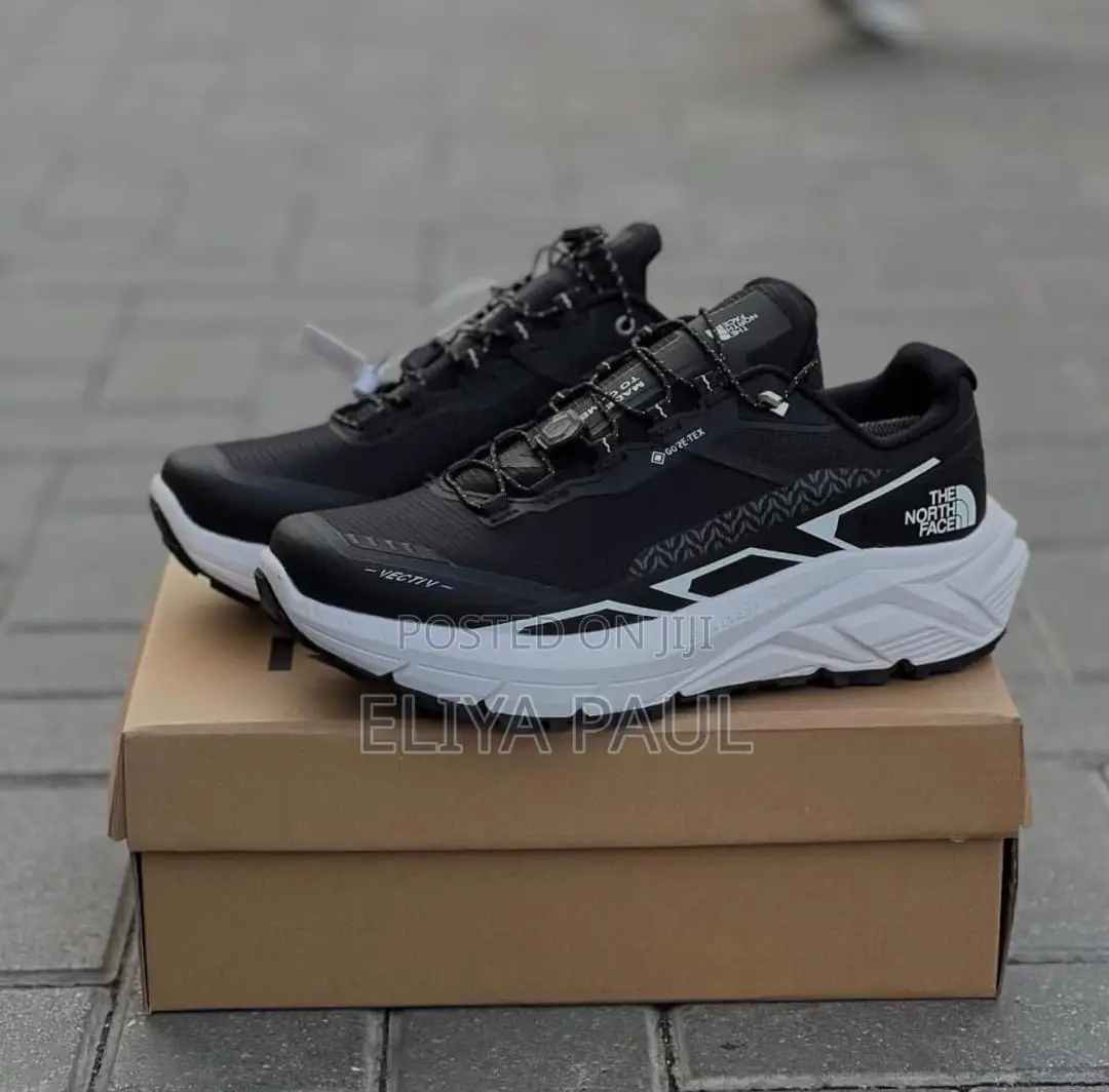 Northface Sneakers