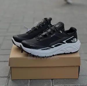 Northface Sneakers