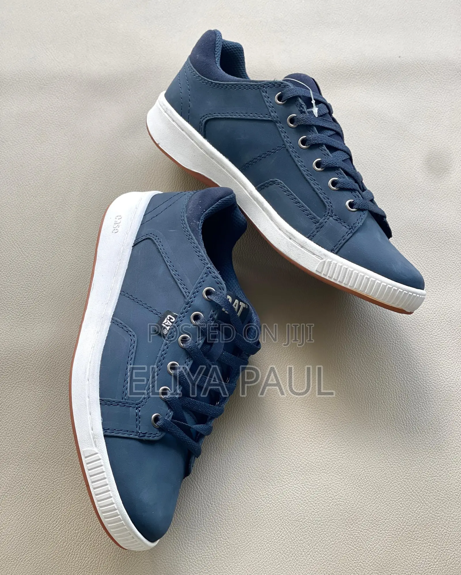 Cat Sneaker