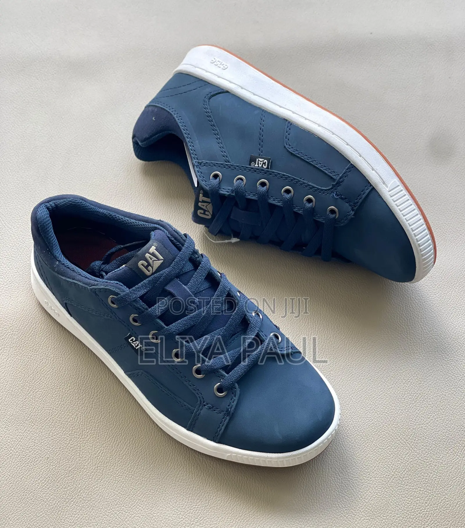 Cat Sneaker