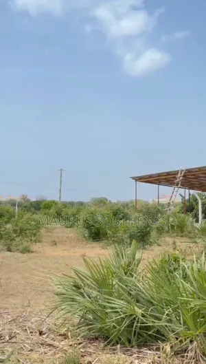Plot for Sale TSH 120 Million at Mbweni Mpiji, Dar Es Salaam Tanzania