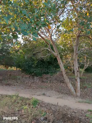 Shamba Bora Kabisa Linauzwa