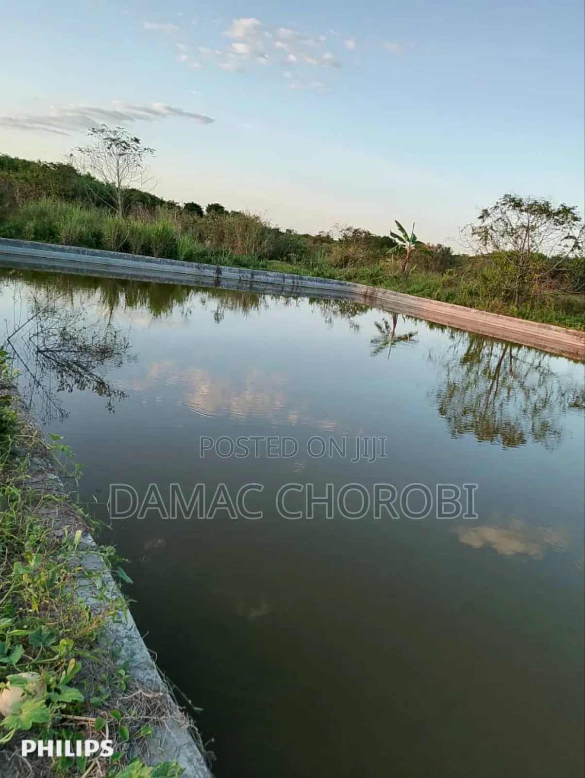Shamba Bora Kabisa Linauzwa