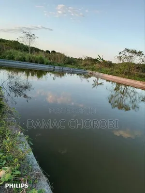 Shamba Bora Kabisa Linauzwa