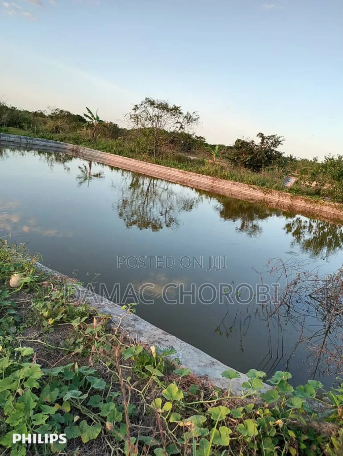 Shamba Bora Kabisa Linauzwa