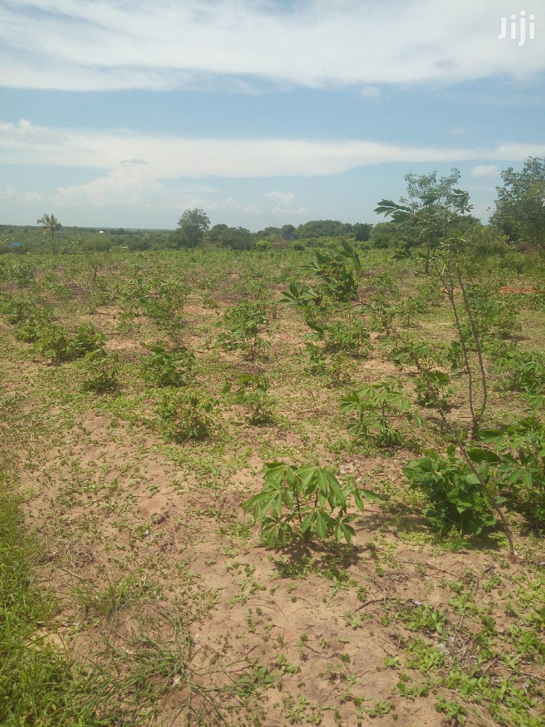 Viwanja Vinauzwa