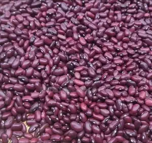 Red Kidney Beans (All Type)