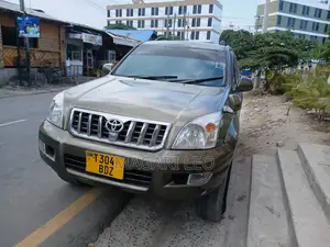 Toyota Land Cruiser Prado 2005 Gray