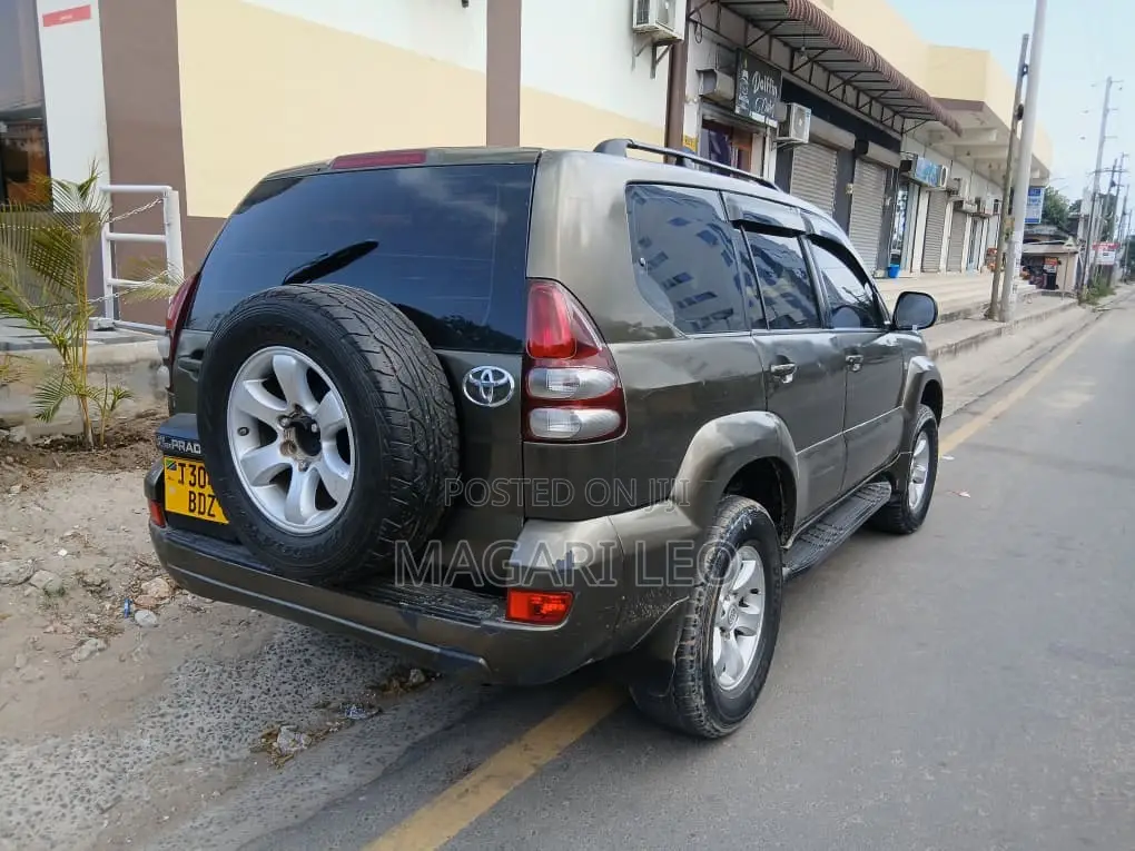 Toyota Land Cruiser Prado 2005 Gray
