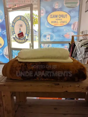 Wash Fold Laundry Service at 2 Locations
