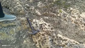 Limestone Land for a Sale
