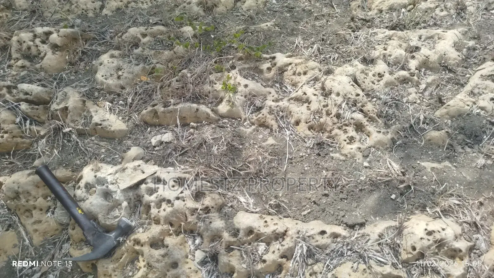 Limestone Land for a Sale