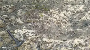 Limestone Land for a Sale
