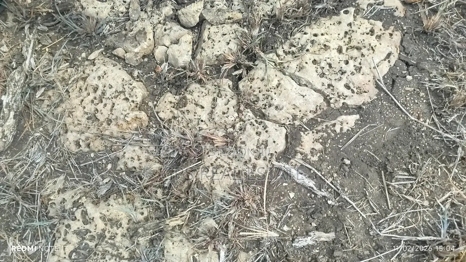 Limestone Land for a Sale