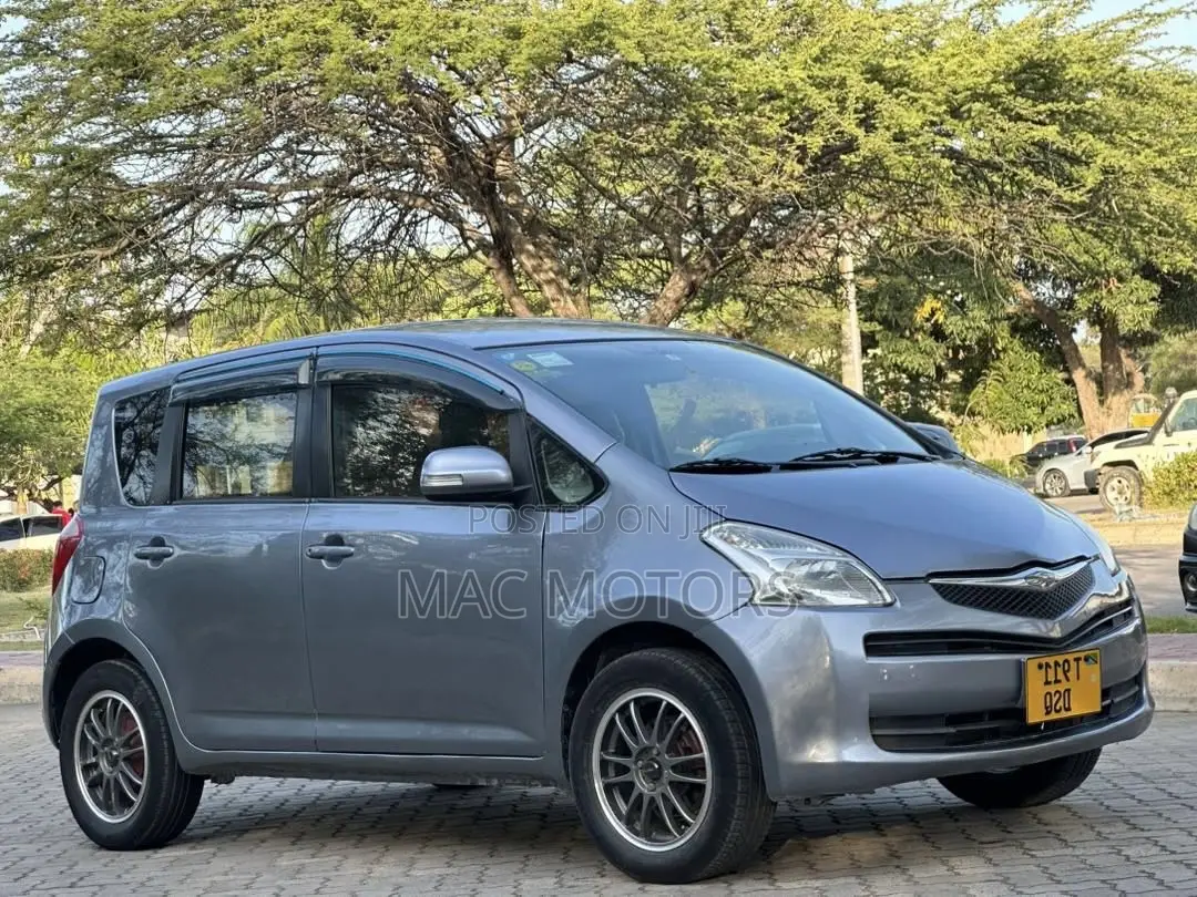 Toyota Ractis 2007 Gray