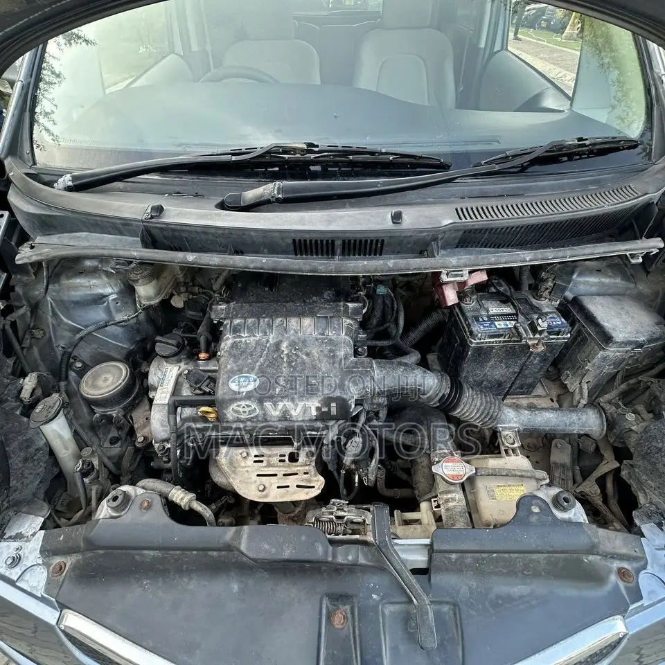 Toyota Ractis 2007 Gray