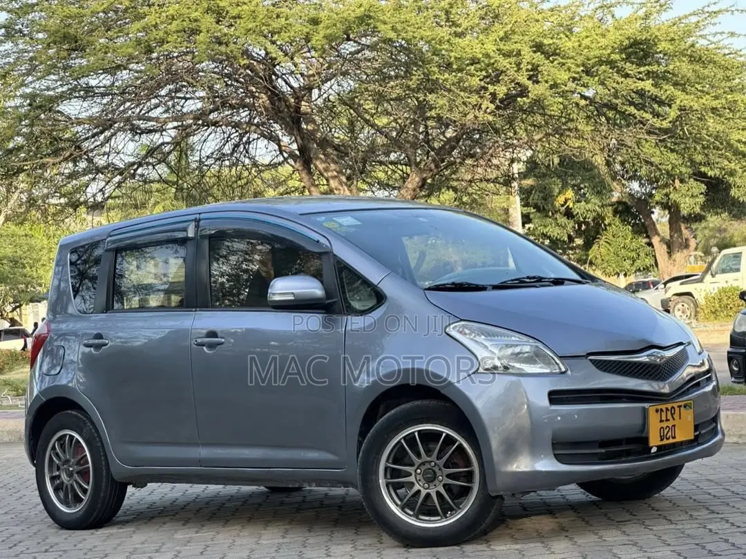 Toyota Ractis 2007 Gray