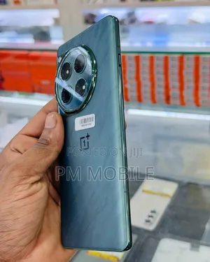OnePlus 12 256 GB