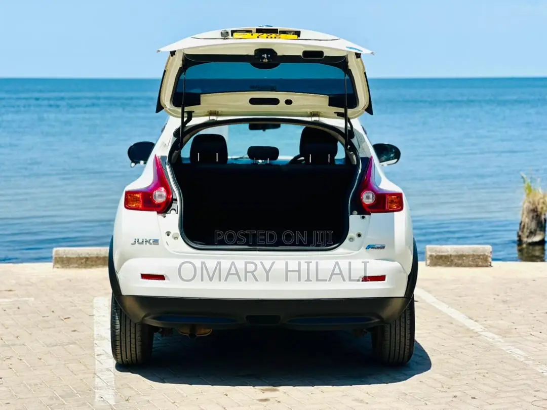 Nissan Juke 2011 White