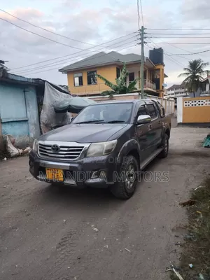 Toyota Hilux 2010 Gray