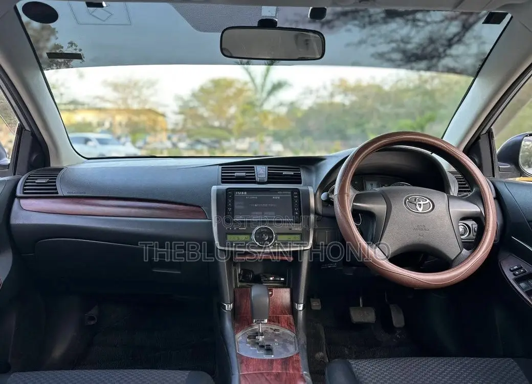 Toyota Premio 2009 Silver