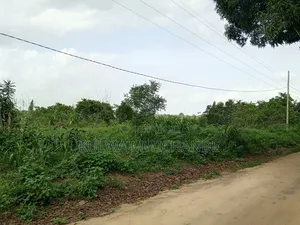 Kiwanja Kinauzwa Kimanzichana Getini